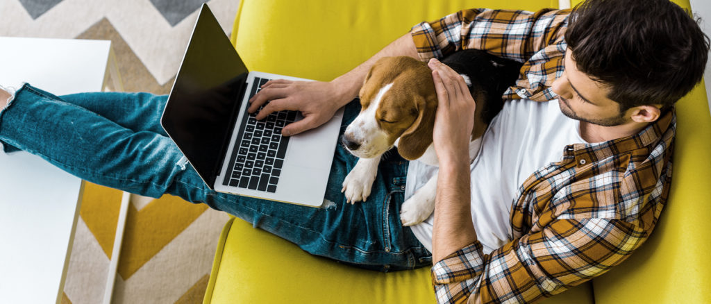 Man working from home with his dog on a couch.